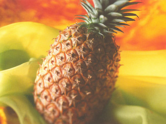 ananas_orangen_kraut